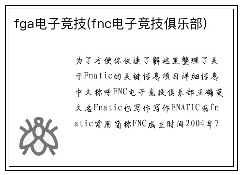 fga电子竞技(fnc电子竞技俱乐部)